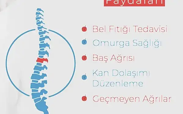 Manuel Tedavi: Sağlığınıza Yönelik Doğal Bir Yaklaşım